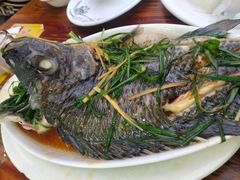 清蒸罗非鱼-真好吃牛杂(白沙店)