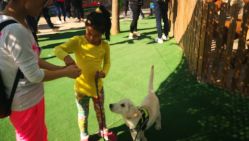 -萌宠亲子动物乐园(槐房万达店)