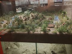 -上海崧泽遗址博物馆