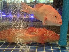 -百富源·海鲜辽菜(浑河堡店)