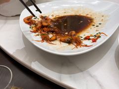 -四季春