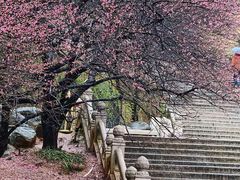 -庐山风景名胜区-东林大佛