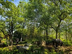 -茅山东方盐湖城景区