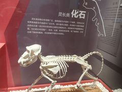 -国家自然博物馆