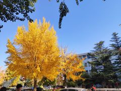 -北京邮电大学