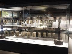 -荆州博物馆