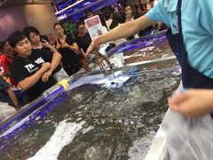 -盒马鲜生(大成店)