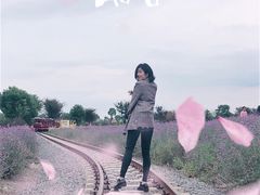 -歌斐颂巧克力小镇