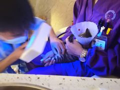 -宠爱国际动物医院·消化内科·心肾内科·ISFM猫友好(望京店)