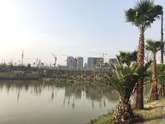 -枫香湖儿童公园