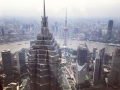 景观位-上海柏悦酒店·世纪100牛排馆