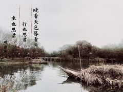 -西溪国家湿地公园