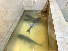 -鄱阳湖·江西小炒·瓦罐煨汤(五道口店)