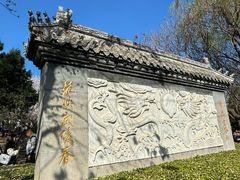 -桃花堤公园