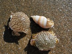 -嵊泗基湖沙滩