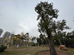 -香山湖公园