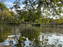 -上海共青森林公园