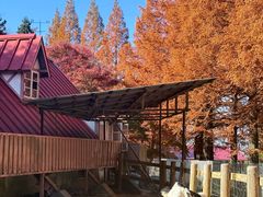 -神户市立六甲山牧场