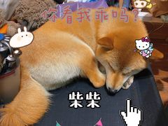 -About Bistro關於·泰式家庭料理