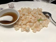 -新雅粤菜馆(南京东路店)