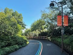 -杭州半山国家森林公园