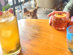 -THE CANNERY&JUJU 新鲜海鲜·牛排美食酒廊