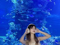 -左海海底世界