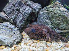 -上海海洋水族馆