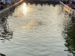 -DGE季风钓虾营地·团建·聚会