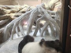 -宁波野生动物园