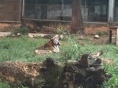 -昆明动物园