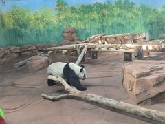 -秦皇岛野生动物园