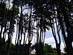 -南诏风情岛