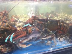 -盒马鲜生(曜一城店)