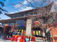 -五台山风景名胜区