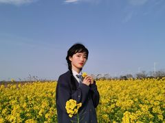 -春花秋色城市公园