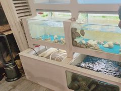 -质烤烤物·活烤海鲜(质烤总店)