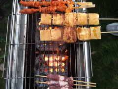 -崇明东平国家森林公园烧烤房车露营地