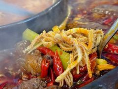 -黄潇洒老火锅(九眼桥宏济巷店)