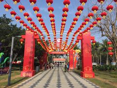 -万绿园