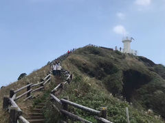 -涉地可支