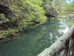 -石台牯牛降景区