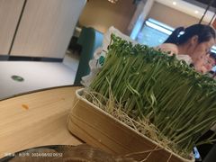 -海底捞火锅(长沙华创国际广场店)