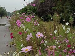 -汉景帝阳陵博物院