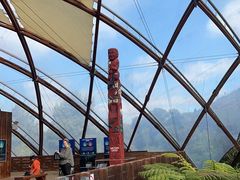 -怀托摩萤火虫洞