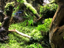 -酷嗒动物文化乐园(cutezoo西溪乐天城店)