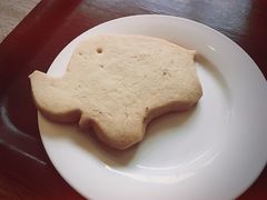 大象饼干-大象咖啡馆