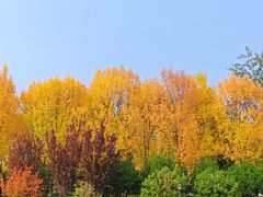 -莲湖公园