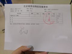 -北京观赏动物医院·24小时大型综合·猫专科·异宠专科