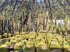 -深圳仙湖植物园